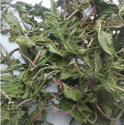 中药材批发供应 蒲公英 具有清热解毒，消肿散结，利尿通淋