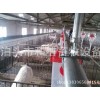 采购自动化养猪设备