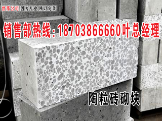 陶粒泡沫混凝土砌块生产线 -陶粒泡沫混凝土砖   L