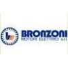 BRONZONI马达、泵