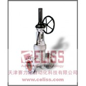 美国Fasani闸阀