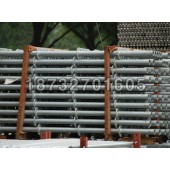 优质圆盘脚手架/献县众兴