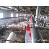 猪场全自动料线供应/和信