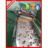 【热销机型】新鲜白菜大枣清洗机/净菜加工流水线价格 xy-120型