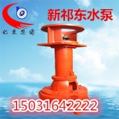 50NSL-25立式耐磨吸砂泵河塘清淤采砂泵泥浆渣浆浮筒泵