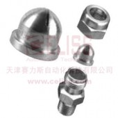 DELAVAN泄压阀进口