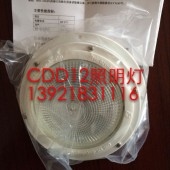 CDD12救生艇筏船舱内灯（12V15W）