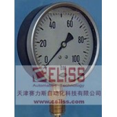 EMPEO热压力计德国