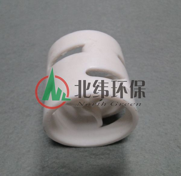 四氟鲍尔环 (1)