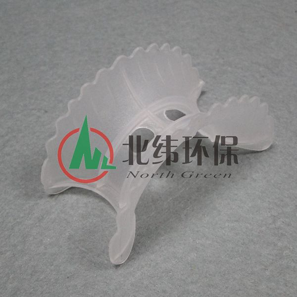 PP异鞍环 (2)