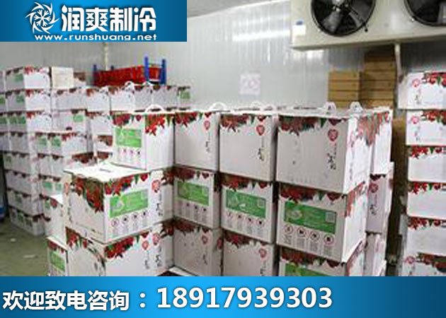 100立方的蔬菜冷库配备什么样的机组比较好
