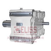 REGGIANA RIDUTTORI行星减速机进口