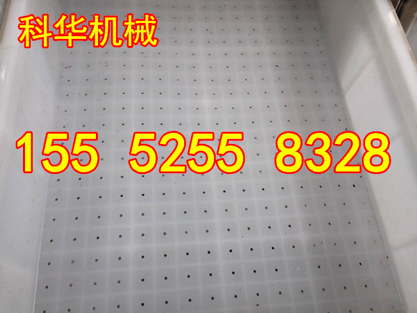 65223738481335979_副本