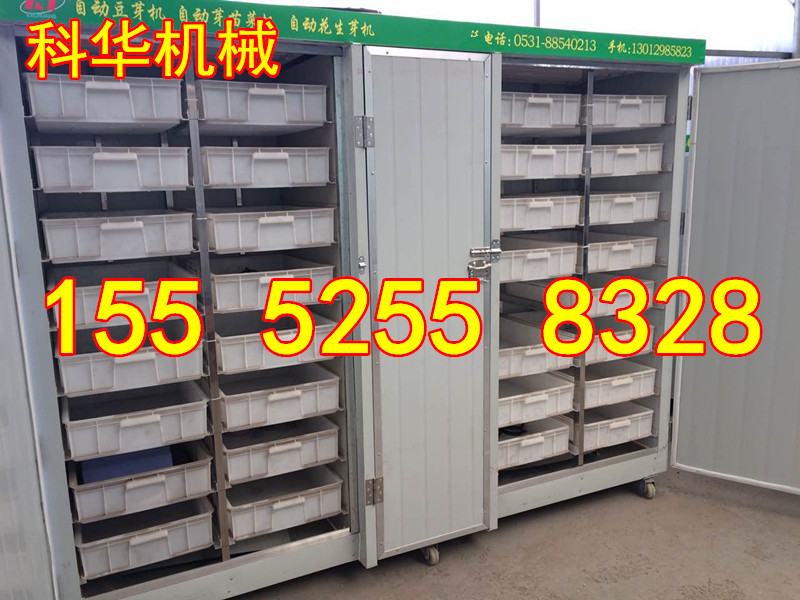点击打开原图