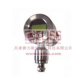 原装RIELS数据记录仪
