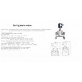 进口制冷剂电磁阀-液氮、冷却设备电磁阀