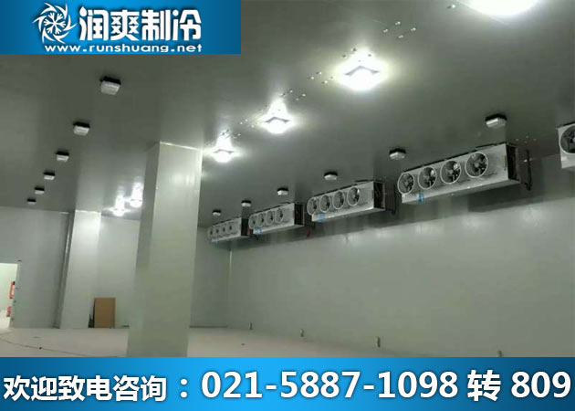 建草莓气调保鲜库造价