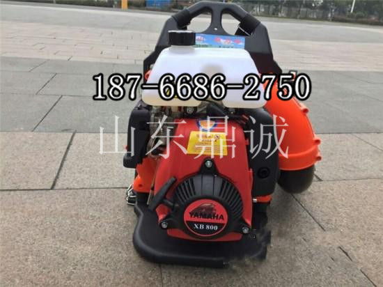 4 DCCF65.5 背负式吹风机 (1)