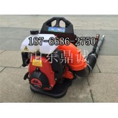 DCCF65.8灭火用背负式吹风机 多功能四冲程汽油大棚吹雪