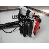 贵州都匀背负式风力灭火机EB650二冲程汽油多功能吹风机