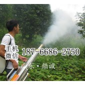 果园大棚用喷雾机 脉冲式弥雾机 农用烟雾机 防虫打药机