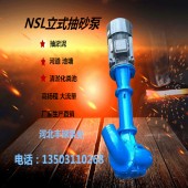 80NSL-35立式吸砂泵抽砂泵