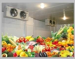 水果冷库价格多少钱 平方米