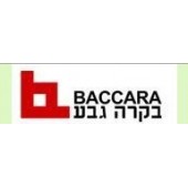 以色列BACCARA线圈