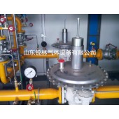 1000立方LNG撬装气化调压装置