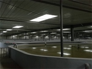 欧麦朗为您提供鲥鱼养殖热水工程解决方案