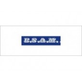 E.S.A.M测量仪表