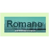 德国Romano传感器