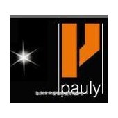 PAULY反射式光栅