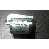 Portescap有刷电机