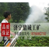 湖北武汉电启动汽油脉冲式大棚弥雾机 手提便携式果园打药机