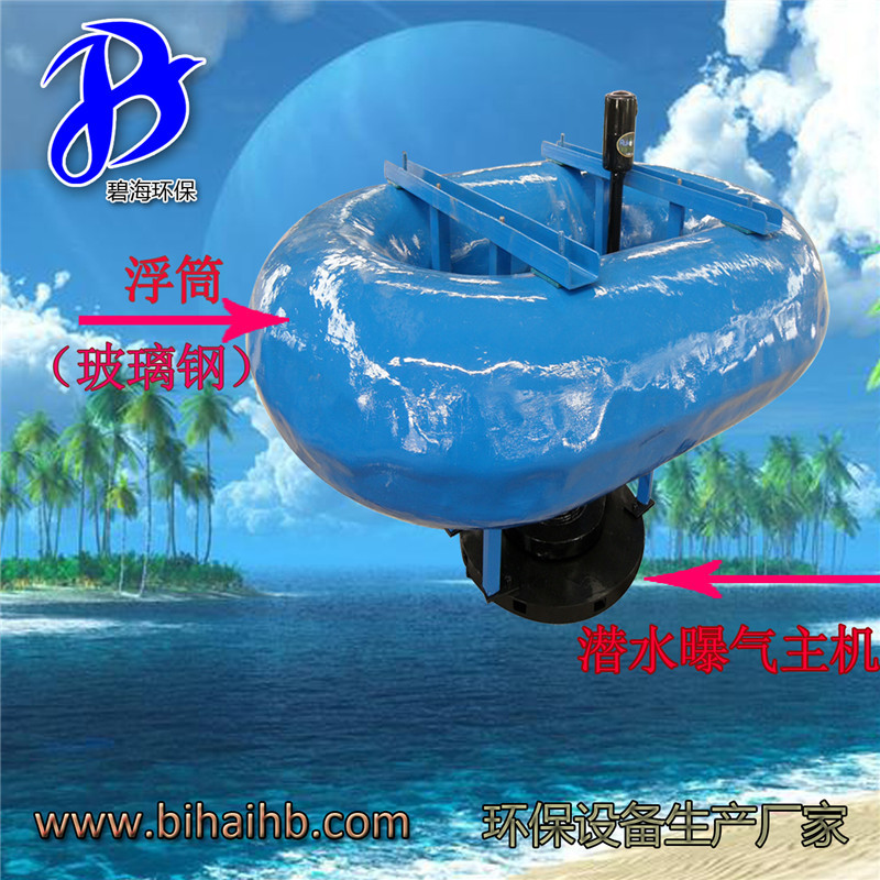 浮筒曝气机01