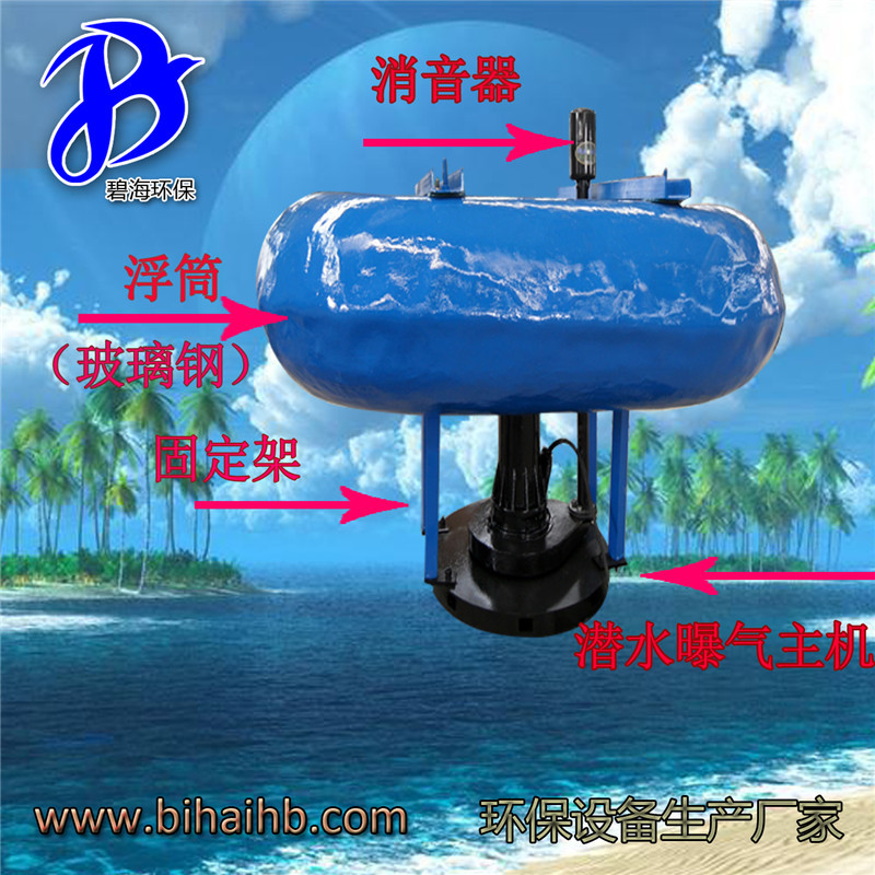 浮筒曝气机02