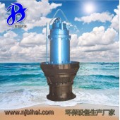 大流量污水处理设备长寿命ZLB盐场用泵 质量保证