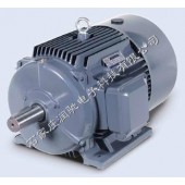 西门子1LE0001-3BC33-3FA4 （B5-185KW）