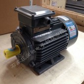 西门子1LE0001-3BC43-3FA4 （B5-200KW）