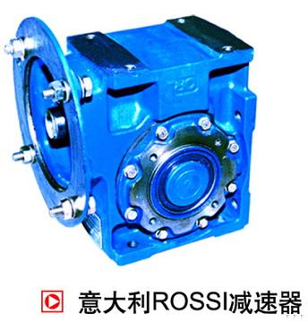 ROSSI专用电机