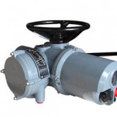 ROTORK电动执行器