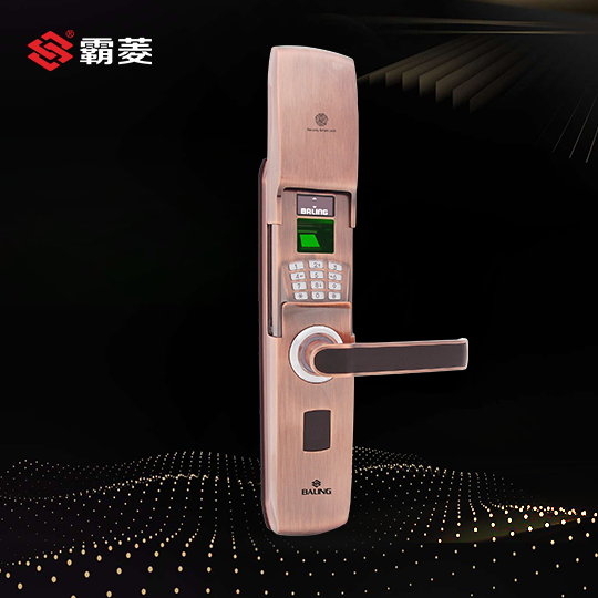 指纹密码锁ZF-15S