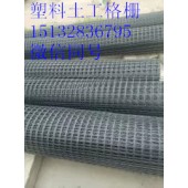 东北吉林塑料网 格栅网 小孔190g