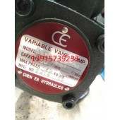 CEVP-F20-A4台湾CE油泵CHEN EA HYDRAULIC