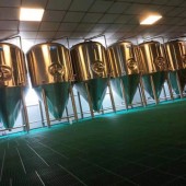 原浆啤酒设备厂，自酿鲜啤设备，小型啤酒厂酿酒设备
