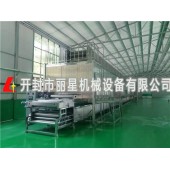 丽星现代化粉丝加工机_粉条成套设备适应不同种类淀粉