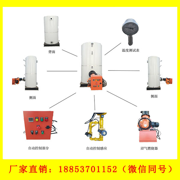 沼气锅炉 (21)
