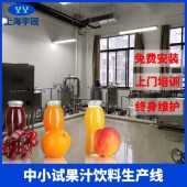 企业 大学 实验室专用 果汁生产线小型全自动饮料生产线厂家定制