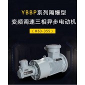 YBBP系列隔爆型变频调速三相异步电动机（H63-355）
